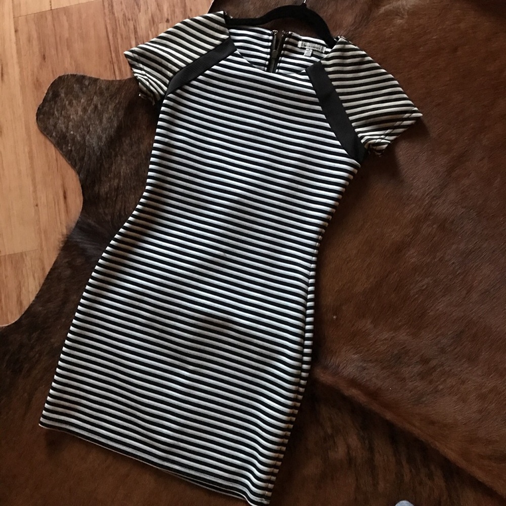 Fitted Striped dress