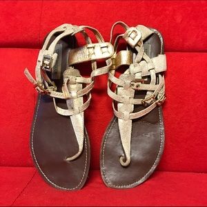 Steve Madden Gladiator Sandals