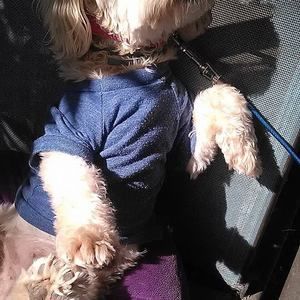 Meet your Posher, Cindy