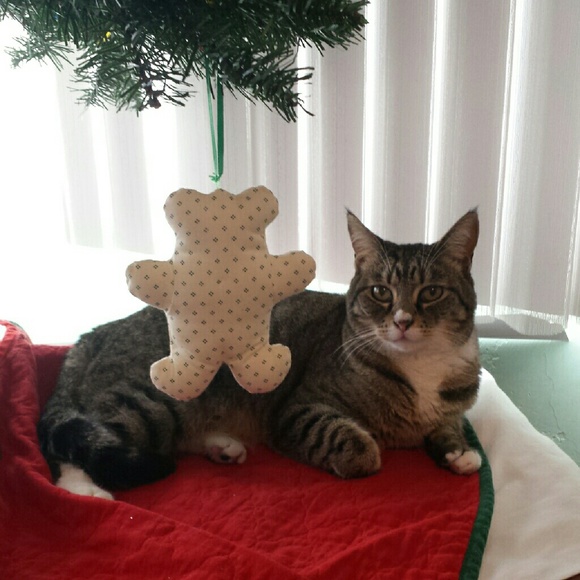 Meet your Posher, Lorna - Picture 1 of 1