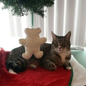 Meet your Posher, Lorna