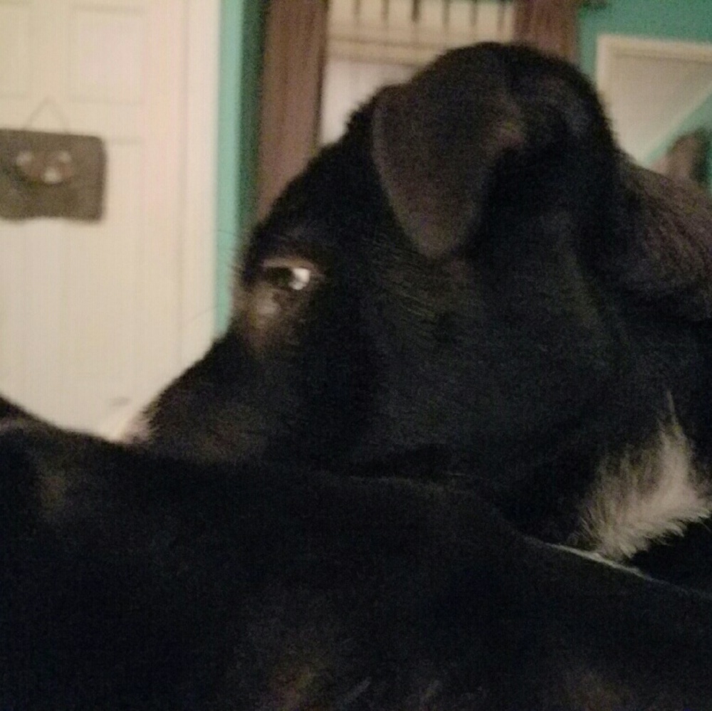 Meet your Posher, Rebecca