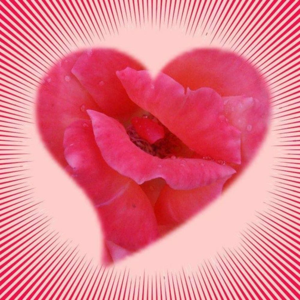 Meet your Posher, Joanna