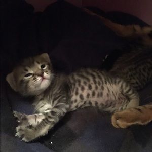 Meet your Posher, Jennifer