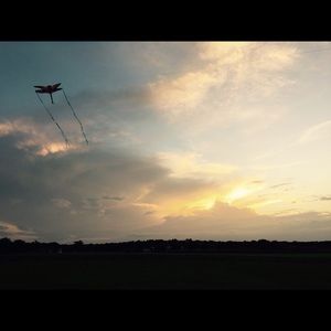 Meet your Posher, Alison