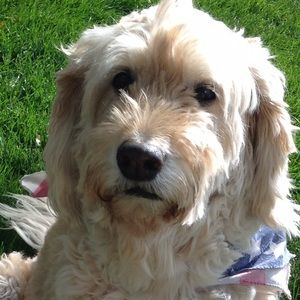 Meet your Posher, Karissa