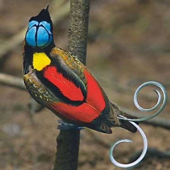 Meet your Posher, Smit - Picture 1 of 1