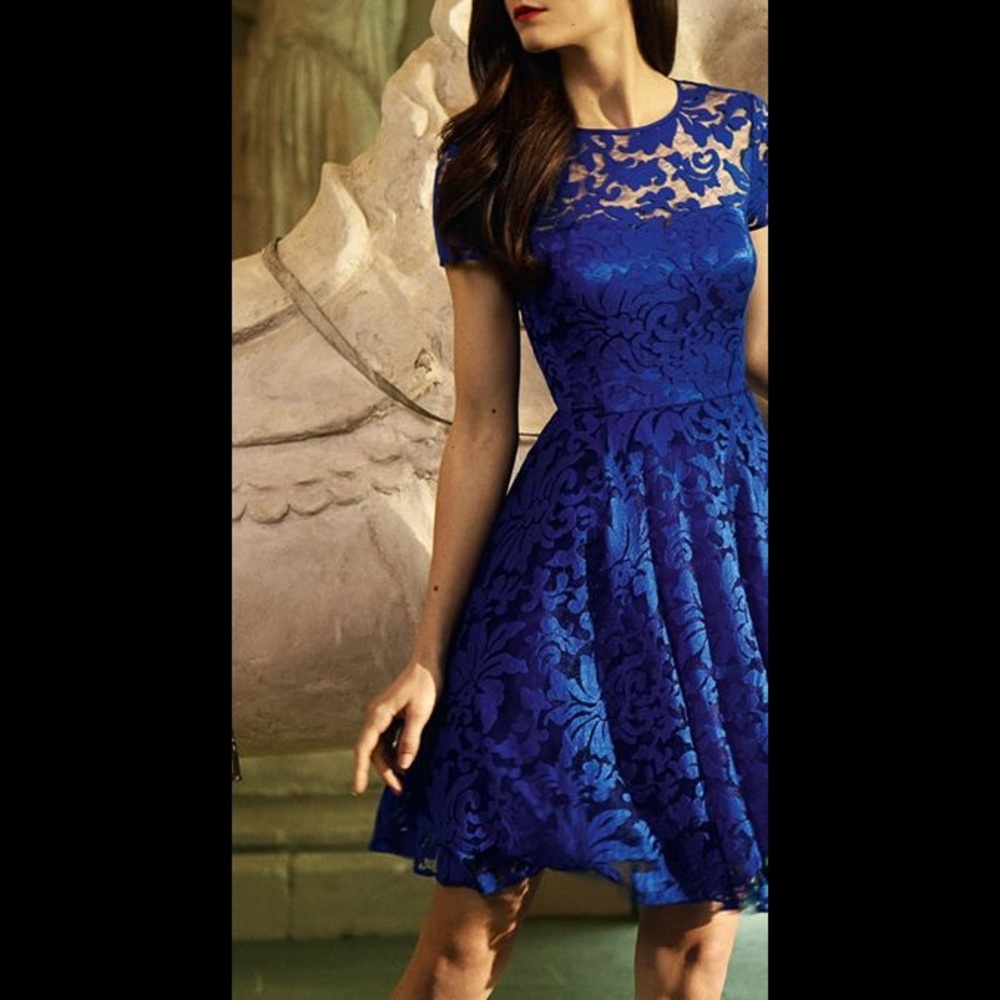 TED BAKER NWT Royal Blue Lace