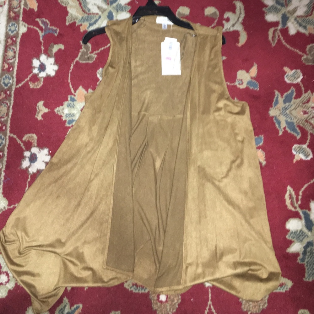 Brown Suede-ish Vest