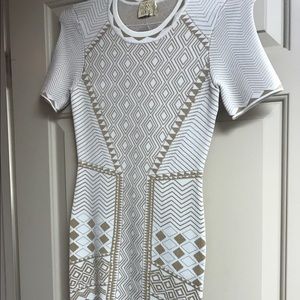 Torn by Ronny Kobo dress