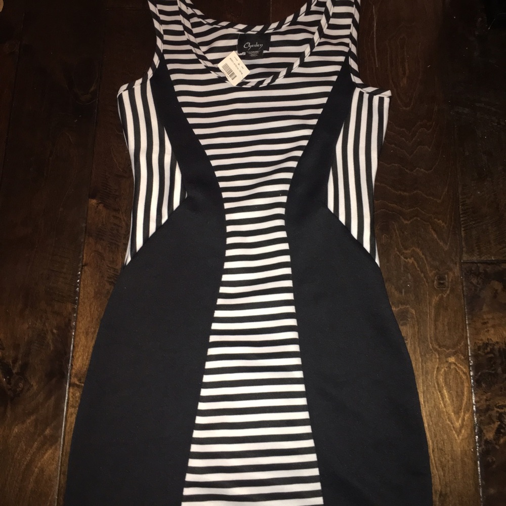 NWT Dress
