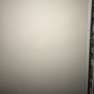 Meet your Posher, Daisy