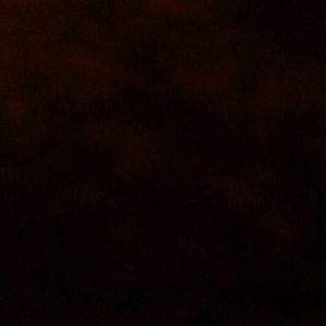 Meet your Posher, Janice