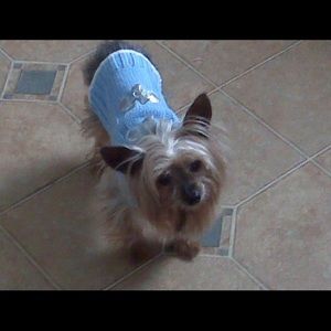 Meet your Posher, Brandy