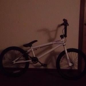 Meet your Posher, Damøn