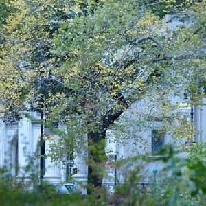 Meet your Posher, Melanie