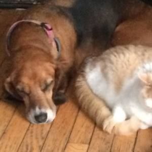 Meet your Posher, Jodie