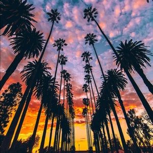 Meet your Posher, Mariah