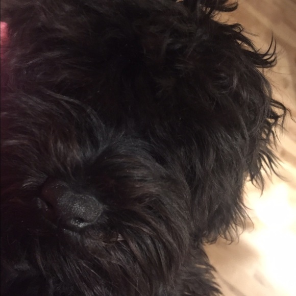 Meet your Posher, Julianna - Picture 1 of 1