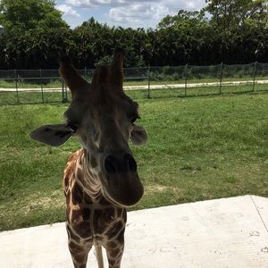 Meet your Posher, Lynne