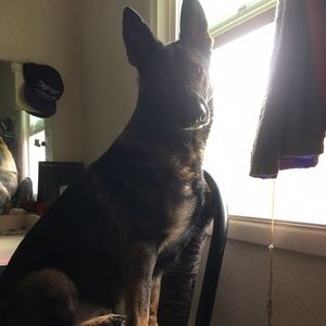 Meet your Posher, Nova