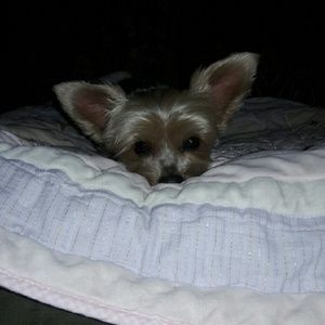 Meet your Posher, Hilda