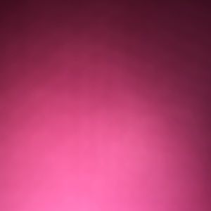 Meet your Posher, Terry