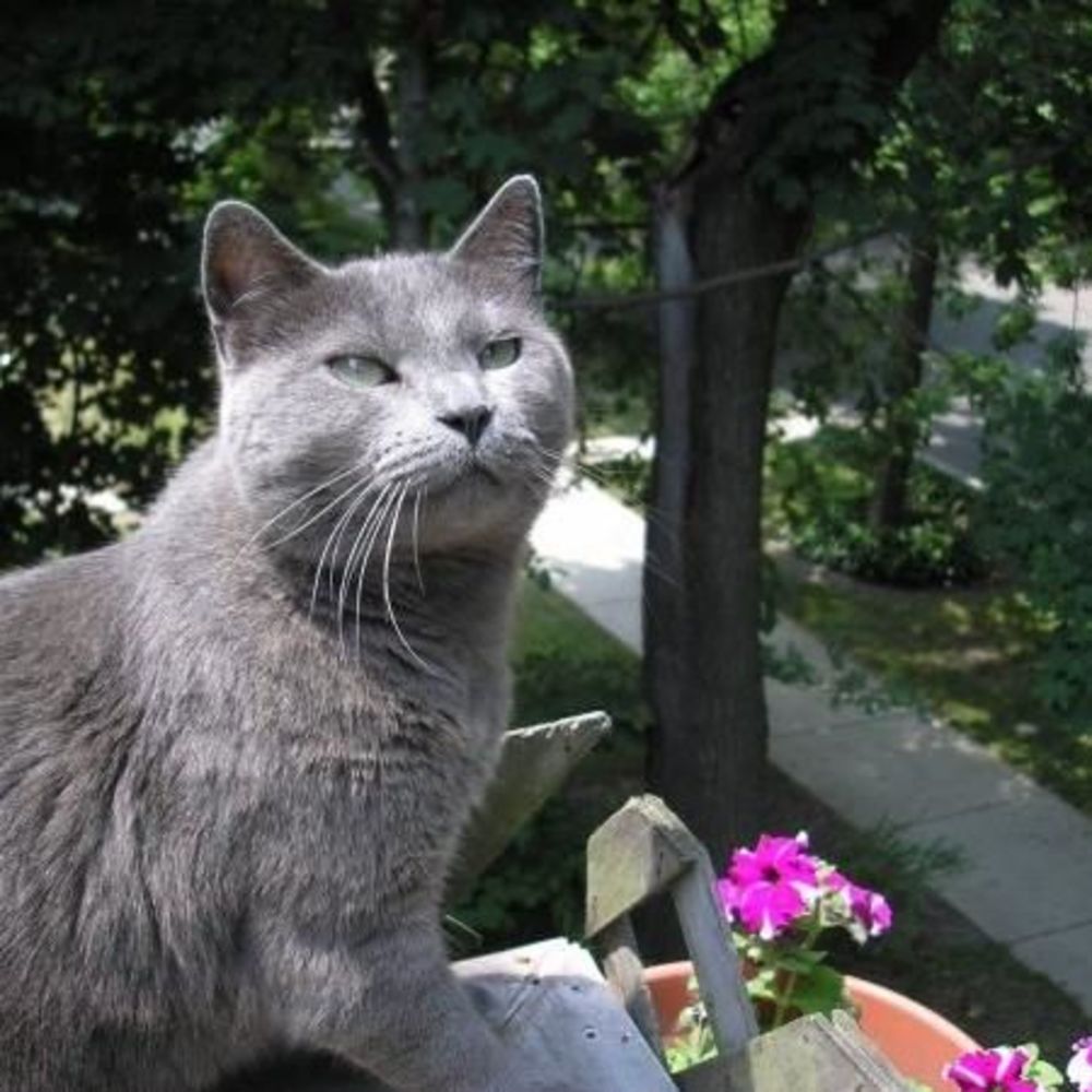Meet your Posher, Tish