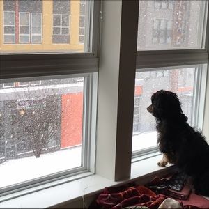 Meet your Posher, Meredith