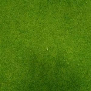 Meet your Posher, Adrian