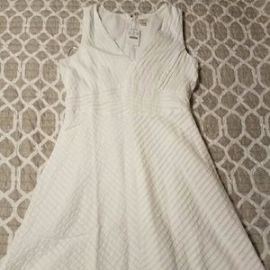 J. Crew Dress