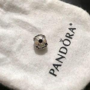 PANDORA Authentic Charm