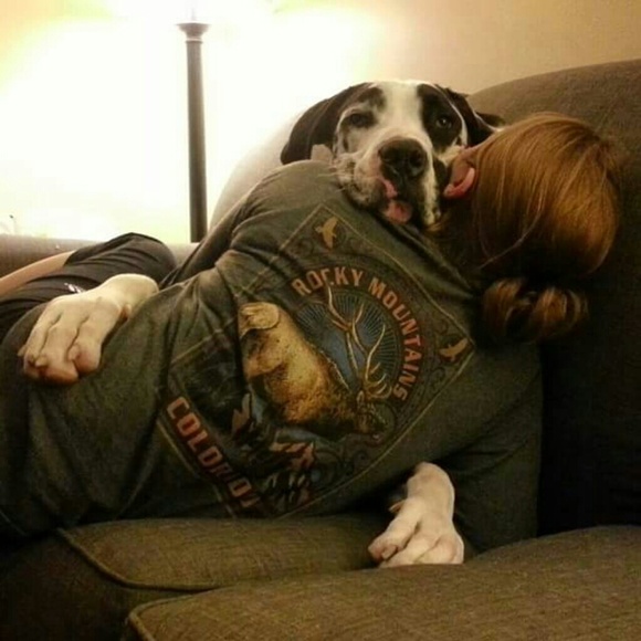 Meet your Posher, Jaimie - Picture 2 of 4