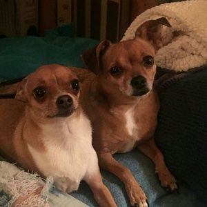 Meet your Posher, Terry