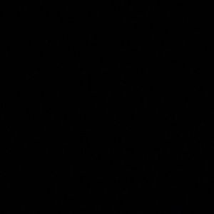 Meet your Posher, Ryane