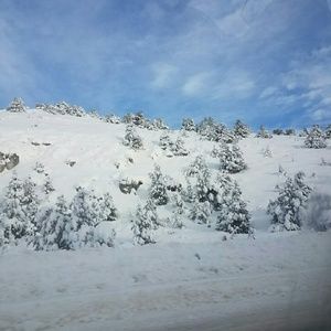 Meet your Posher, Alyse