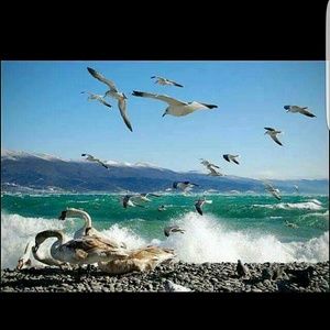 Meet your Posher, Ana