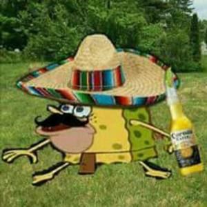 Meet your Posher, Hugo