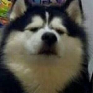 Meet your Posher, May