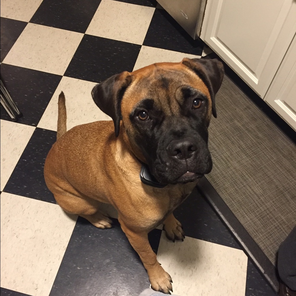 Meet your Posher, Katie