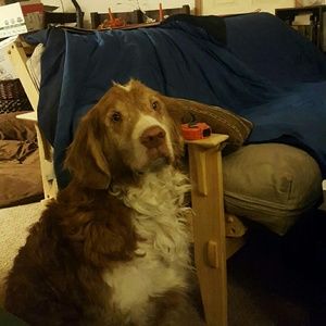Meet your Posher, Morgan