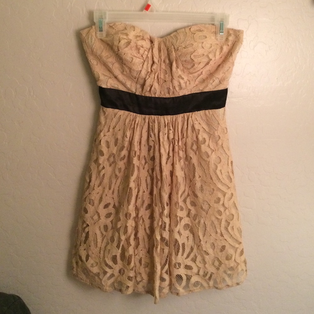 Strapless Nude Crochet and Lace Dress