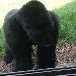 Meet your Posher, Sandra