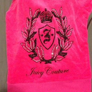 Velvet Juicy Couture Hoodie!