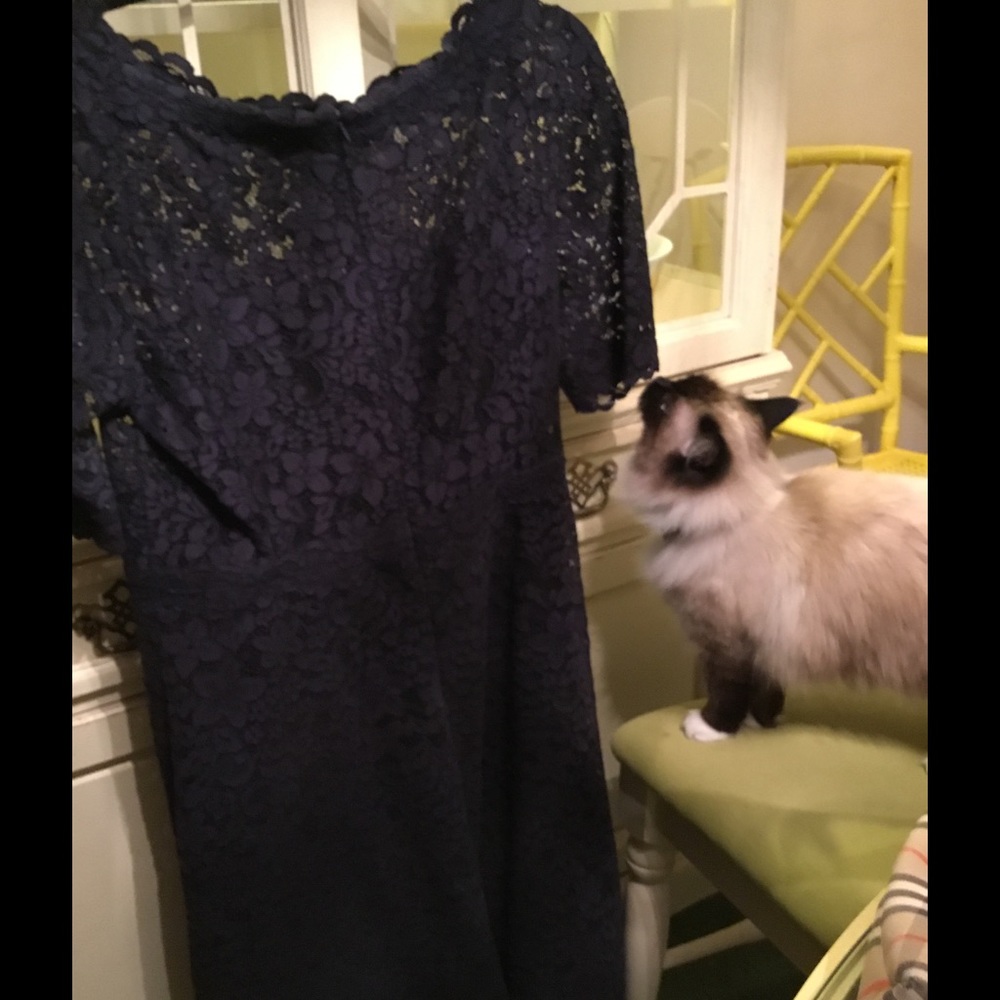 Teri Jon by Ricki Freeman at Saks for $500