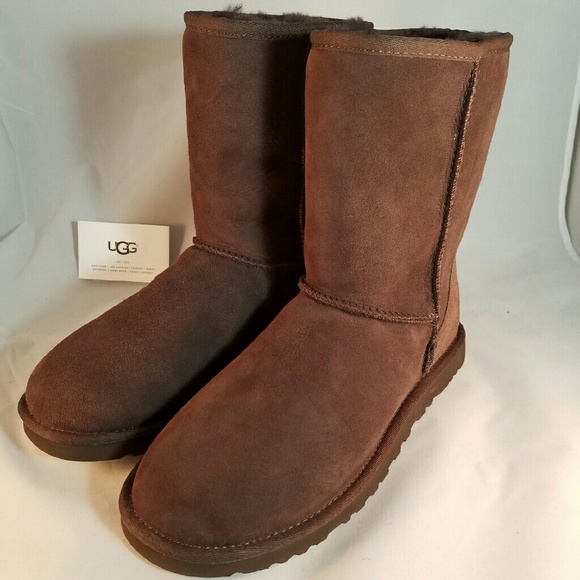 UGG Shoes - Classic UGG short in brown