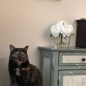 Meet your Posher, Carrie