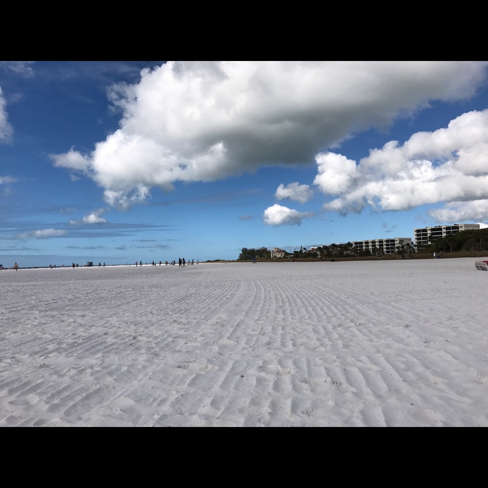 Meet your Posher, Alicia