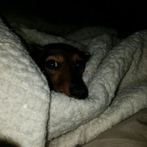 Meet your Posher, Dee