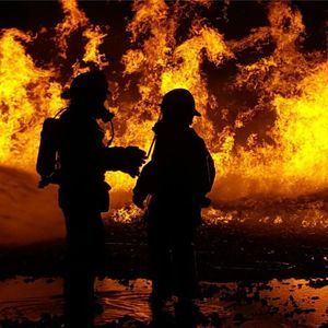 Meet your Posher, Sophie